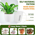 Self Watering Pots for Indoor Plants, Small African Violet Pots - Image 2