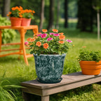 Ceramic Plant Pots - Image 5