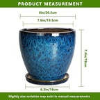8 Inch Ceramic Planter Pot - Image 5