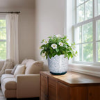 Ceramic Pots for Plants - Image 6