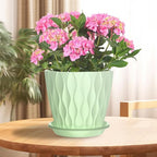 6 Pack 6 Inch Indoor Plant Pots - Image 5