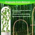 10 Pack 4ft U-Shape Bamboo Trellis - Image 4