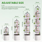 Garden Obelisk Trellis for Climbing Plants - Image 3