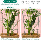 32 inch Plant Support Stakes, 10 Pack Half Round Metal Garden Plant Stake - Image 7