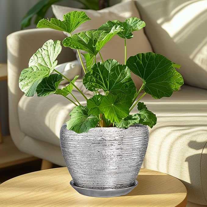 Pot for Plants 8 Inch - Image 4