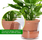 D'vine Dev 10 Inch Design Self Watering Pot - Image 6