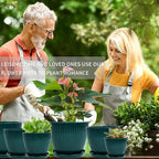 Plant Pots Indoor with Saucers & Drainage - Image 2