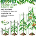 Riare 8 Pack 5.2 FT Tomato Cages - Image 3