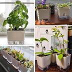 Planterhoma 6 Pack-5.5 Inch Self Watering Plant Pots - Image 8