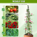 2 Pack Garden Trellis for Climbing Plants Outdoor, 63inch Tall Rustproof Metal - Image 5