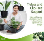 Mini Twigs Plant Support Stakes - Image 3