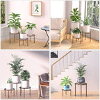 5-Pack Decent Metal Plant Stands, Heavy Duty Flower Pot Stands - Image 6