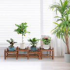Wood Flower Stand Small Plant Stand Indoor Outdoor Plant Shelf Low Window Shelf - Image 3