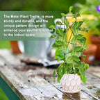 17.5 Inch Indoor Plant Trellis for Climbing Plants, Metal Trellis, Small Garden - Image 5