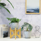 6 Inch Ceramic Planter Pots - Image 6