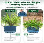 T4U 12 Inch Large Hanging Planters - Image 5