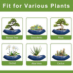 Bonsai Pots - 18 Inch Large Ceramic Succulent Pots - Image 7