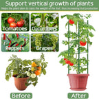 Halatool 4 Pack Tomato Cages for Garden, Garden Stakes Tomato Trellis for Pots - Image 6