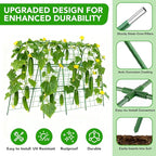 Cucumber Trellis for Raised Bed, U-Shape Garden Trellis for Climbing Plants - Image 2