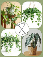 4 Pack Small Wavy Trellis for Potted Plants Indoor, 15 in Garden Trellis for - Image 6