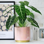 Gepege Pink Indoor Plant Pots for Plants, Large Ceramic Planter - Image 8