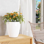QCQHDU 10 inch Plant Pot with Drainage Hole, 2 Pack Sturdy Pots - Image 3