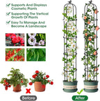 6.2ft Garden Obelisk Trellis for Climbing Plants Rustproof Metal Pipe - Image 4