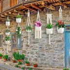 Macrame Plant Hangers - Image 4