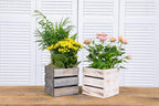 Wood Planter Box with Wine Crate Styled, 5 Inch Square, Plastic Liner, Garden - Image 7