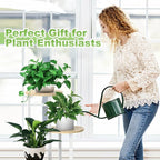 Plant Stand Indoor, 4 Tier Thickened Metal Corner Plant Shelf - Image 7