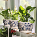 SQOWL Ceramic Flower Pots - Image 5