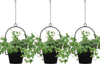 Gardzen 3 Packs Hanging Pots for Plants Outdoor & Indoor, Pot Hangers for Plant by Gardzen