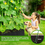 Large Cucumber Trellis for Climbing Plants Outdoor - Image 7
