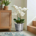 Ceramic Planter - Image 5