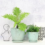 8 Inch + 6 Inch Plant Pots for Indoor Plants, Ceramic Planter - Image 4