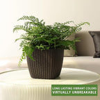 Dexceder 11x10 Self Watering Planter Indoor Outdoor, Inner Mat Design, - Image 6