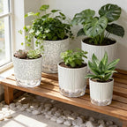 Self Watering Pots for Indoor Plants, 4/5.5/6.3 Inch Plant Pots Indoor Outdoor - Image 6