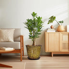 12 Inch Plant Pot - Image 7