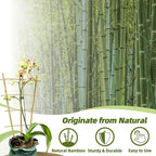 Bamboo Trellis for Climbing Plants 20 Pack, 16 Inch Garden Ladder Trellis for - Image 3