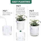 Phoenix Vine 6 Inch Self Watering Planter - Image 7