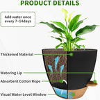 12/10/9/8 inch Self Watering Pots - Image 3