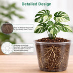 16 Pack 10/8/6/5 Inch Reinforced Large Clear Nursery Pots - Image 3