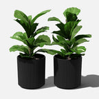 Veradek Demi Series Round Planter - Image 8