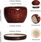 SQOWL Ceramic Plant Pots - Image 3