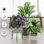 5-Pack Metal Plant Stand Indoor Outdoor Decoration Small Plant Holders - Image 4