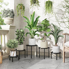 Simple Trending Metal Plant Stand Indoor Outdoor, Heavy Duty Flower Pots Stand - Image 3