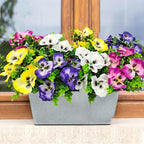 Pansies Artificial Flowers for Outdoors UV Resistant 12 Bundles Silk Pansy - Image 6