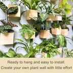 LaLaGreen Wooden Planter Box for Plants Small Square Wall Planters for Indoor - Image 6