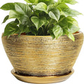 Ceramic Plant Pot Indoor by Ceramicfor