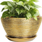 Ceramic Plant Pot Indoor by Ceramicfor